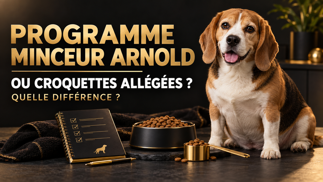 Programme minceur pour chien ou croquettes allégées : quelle différence ?