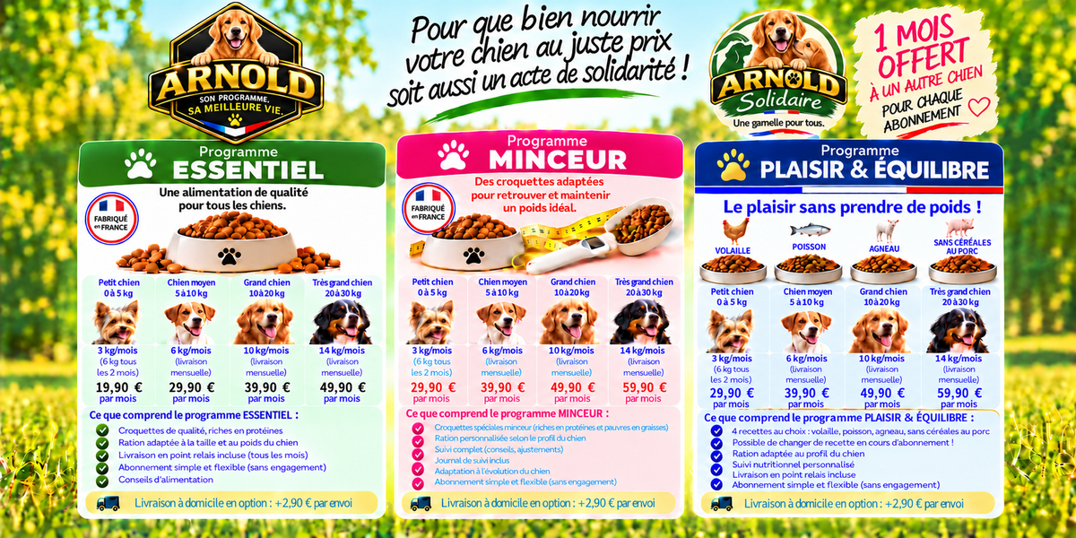 Comparatif des programmes ARNOLD Essentiel, Minceur et Plaisir & Équilibre