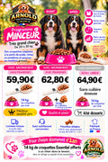 Programme Minceur ARNOLD très grand chien, bouvier bernois avant après, 14 kg