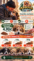 ARNOLD Solidaire : une gamelle pour tous, parrainage et offres ponctuelles