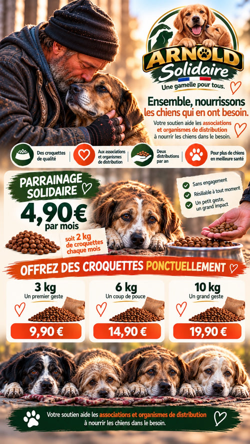 ARNOLD Solidaire : une gamelle pour tous, parrainage et offres ponctuelles